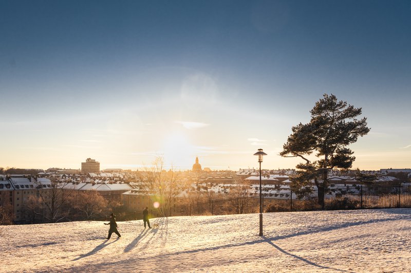 Vannadislunden Vinter