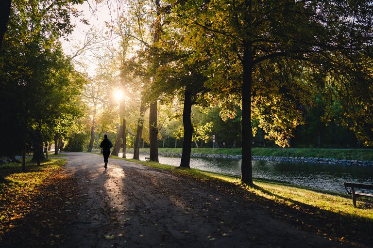 Höst i Stockholm. Dagtid. En person joggar i en park. Trädens löv har blivit gula och röda.