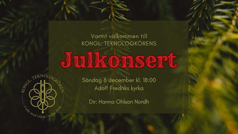 Julkonsert HT24 banner sv gran.png