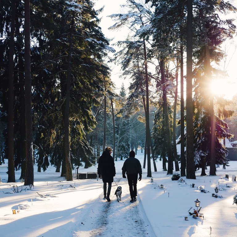 Sevärdheter i Stockholm. Skogskyrkogården, vinter. Två människor tar en promenad med sin hund på Skogskyrkogården. Det är en solig vinterdag, med ett tjockt lager snö på mark och träd.