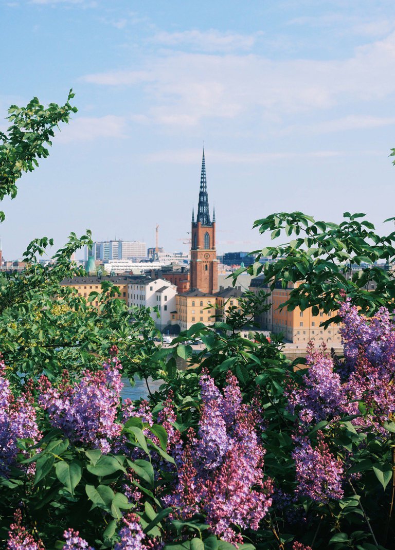 Summer in Stockholm, view from Monteliusvägen in the city's central Södermalm district