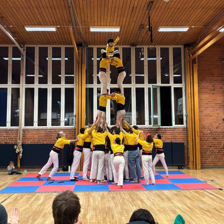 Build human towers