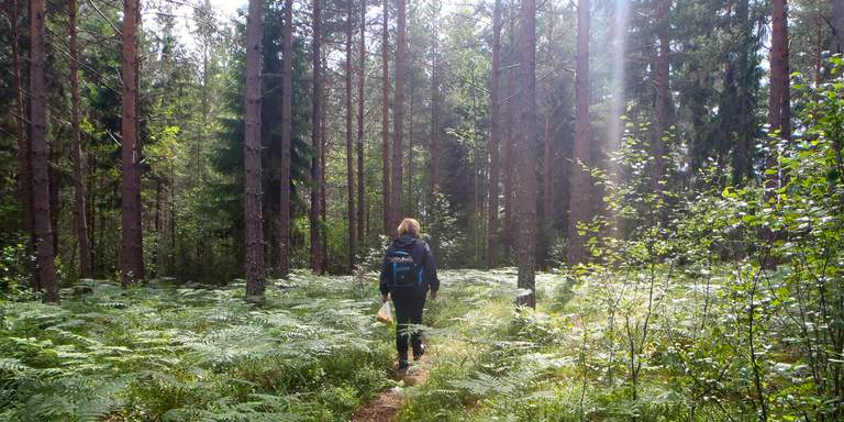 Kvinna vandrar längs Sörmlandsleden.