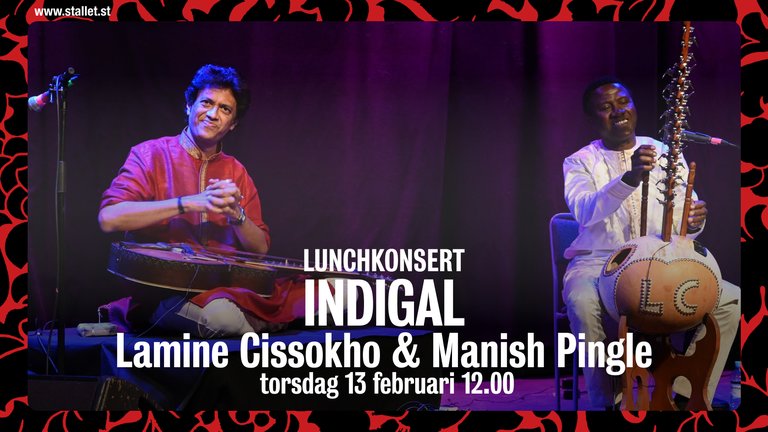 250213 Lunchkonsert_ INDIGAL FNU.jpg