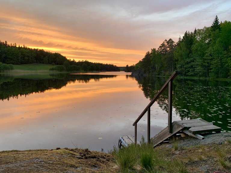 Evening Hike Tyresta 5.jpeg